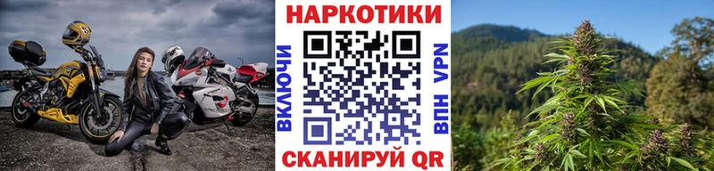 Где продают наркотики Камышин А ПВП Кокаин Мефедрон ГАШИШ