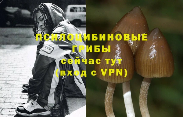 ПСИЛОЦИБИНОВЫЕ ГРИБЫ Дмитровск