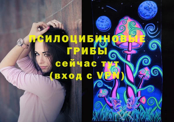ПСИЛОЦИБИНОВЫЕ ГРИБЫ Дмитровск