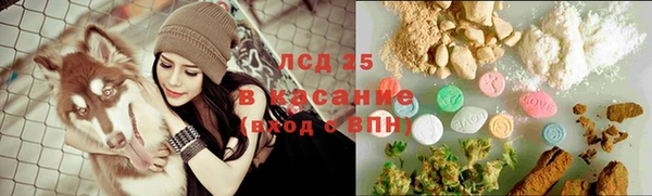 ПСИЛОЦИБИНОВЫЕ ГРИБЫ Дмитровск
